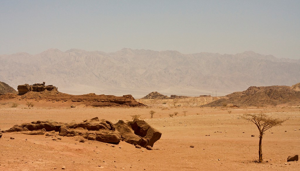 desert