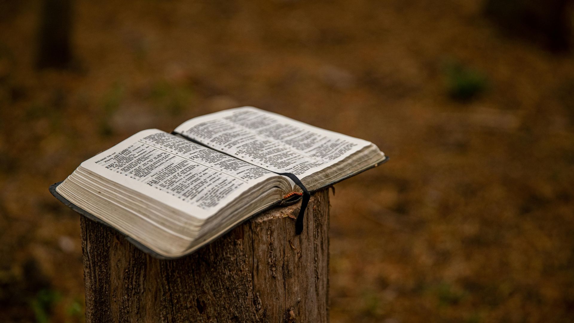 Hijacked-Gospel-Blog-Photo