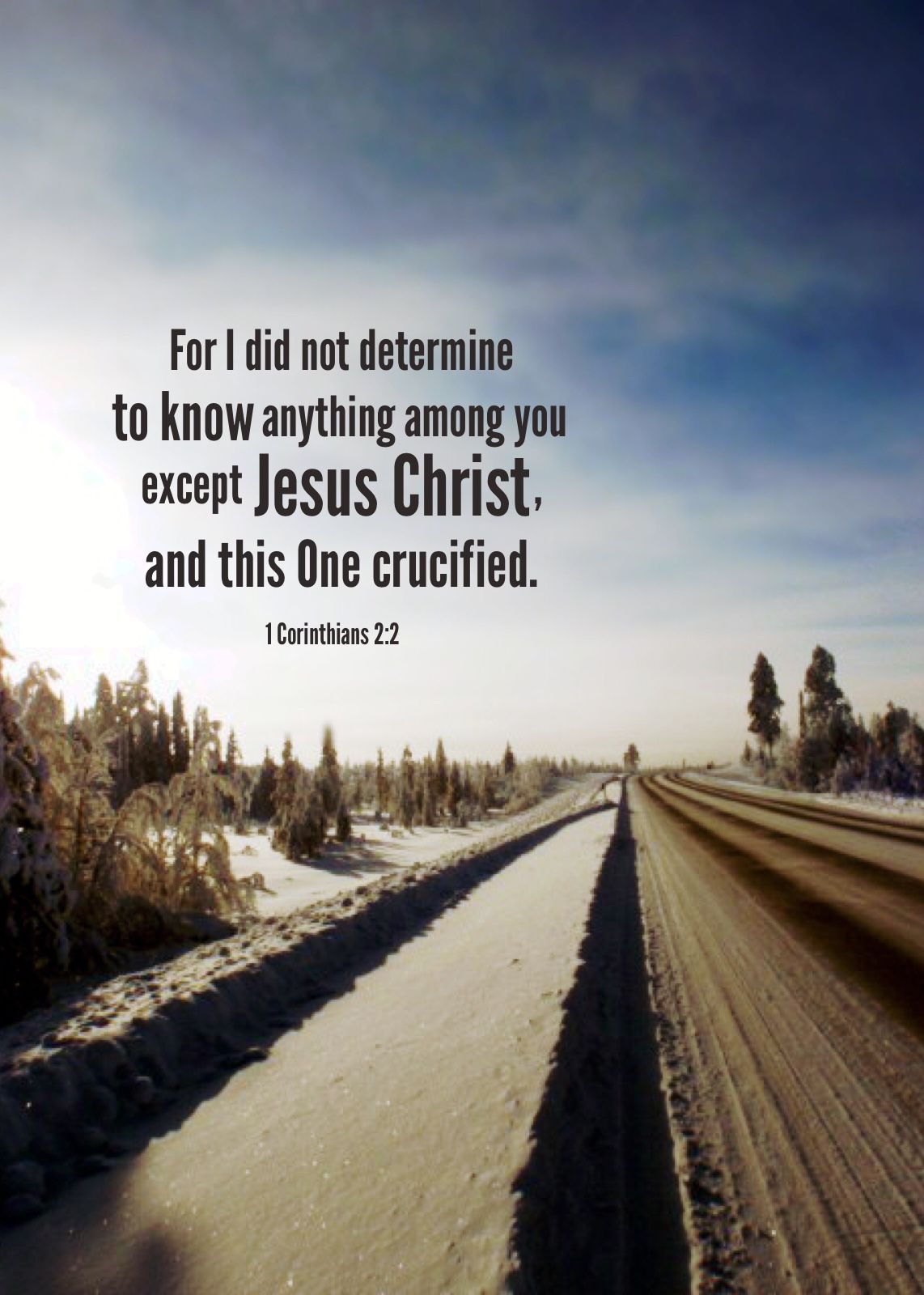 bc6d4a629ecf87db352abb2d2f512ac7